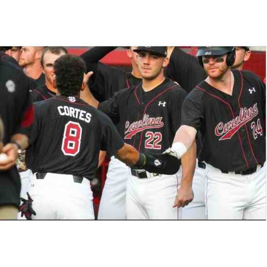 Carolina Customized Base Ball Jersey->customized mlb jersey->Custom Jersey