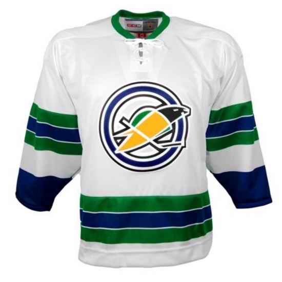 Men Oakland Seals White Stitched jersey->ottawa senators->NHL Jersey