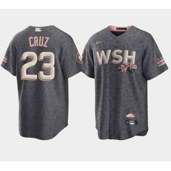 Men Washington Nationals #23 Nelson Cruz 2022 Grey City Connect Cherry Blossom Cool Base Stitched jersey->washington nationals->MLB Jersey