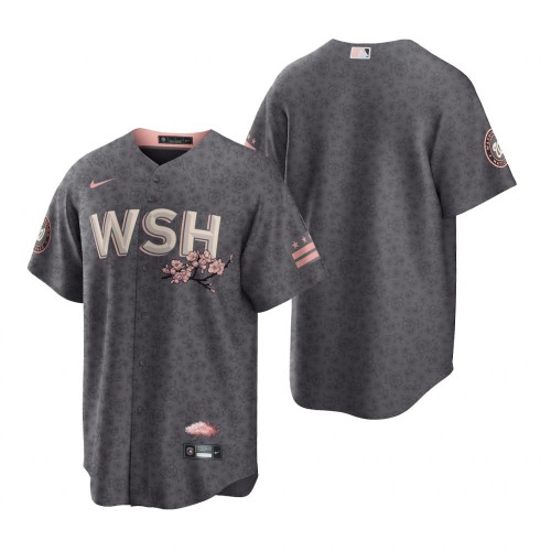 Washington Washington Nationals Blank Men’s Nike Gray Game 2022 City Connect Replica Jersey Men’s
