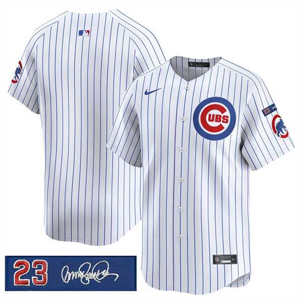 Mens Chicago Cubs Blank White Pinstripe Ryne Sandberg Tribute Vapor Limited V3 Stitched Jersey Dzhi