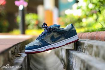 china cheap dunk sb  women shoes wholesale free shipping